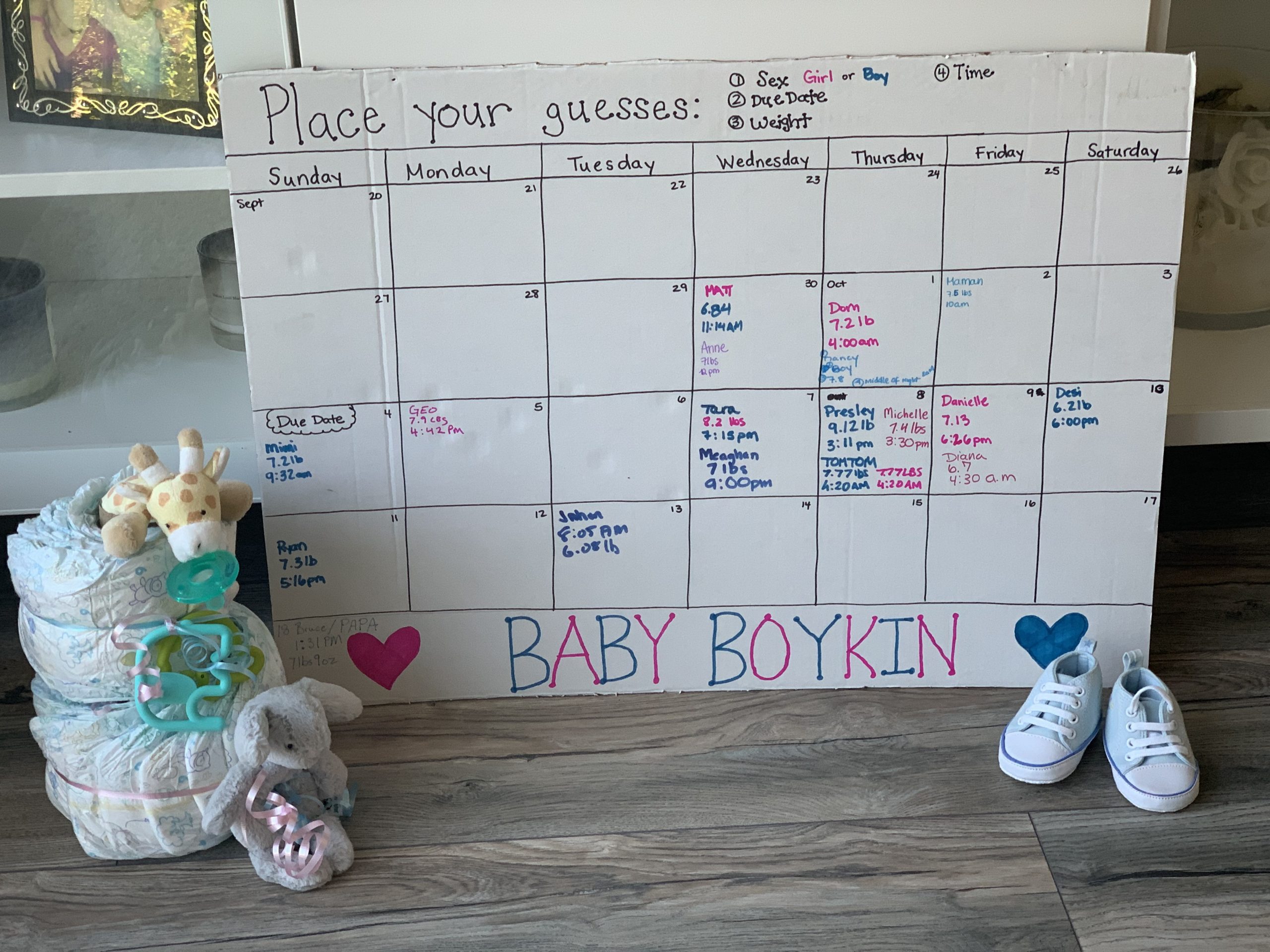 Baby Boykin Prediction Calendar 